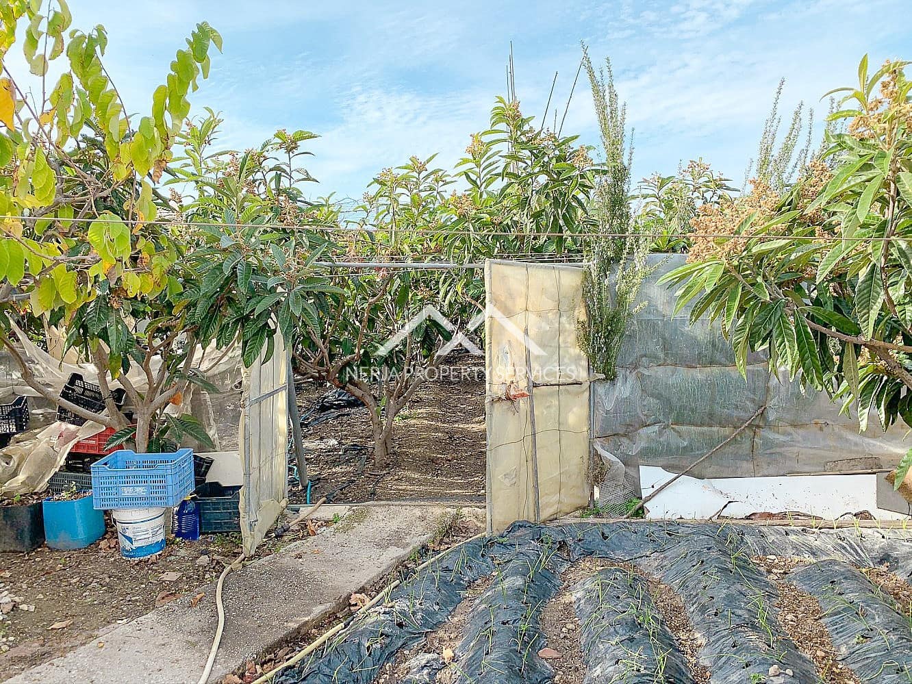 3 Zimmer Finca/Landgut zu verkaufen in Torrox-Costa - 375.000 € (Ref: 8861806)