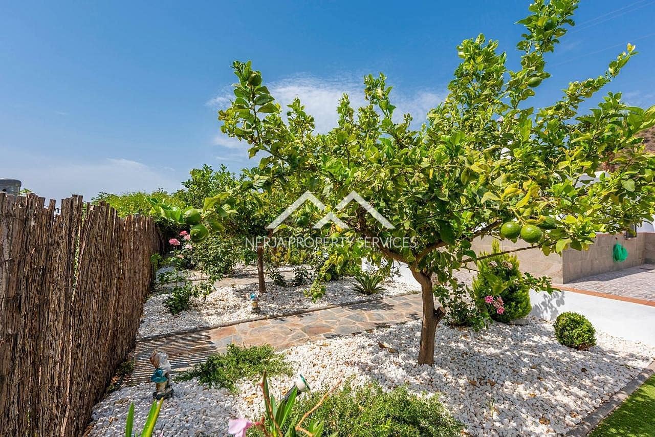 3 slaapkamer Villa te huur in Maro met zwembad - € 1.625 (Ref: 8932976)