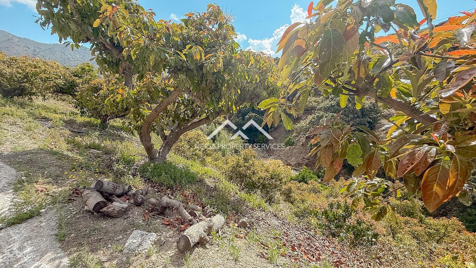 3 soveværelse Finca/Landehus til salg i Frigiliana med swimmingpool - € 379.000 (Ref: 8989849)