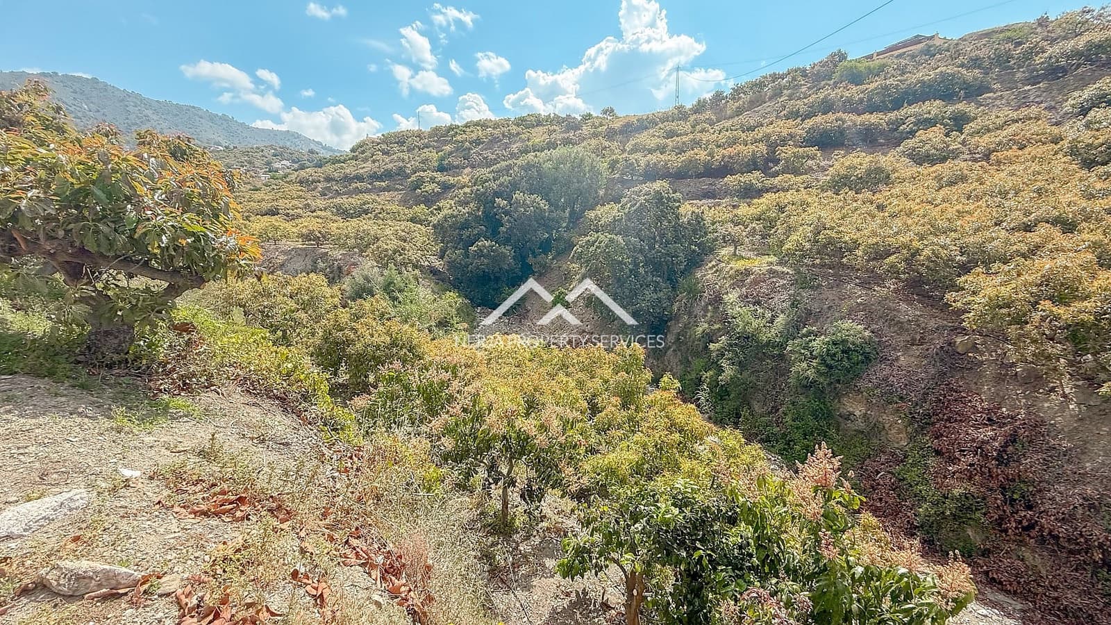 3 soveværelse Finca/Landehus til salg i Frigiliana med swimmingpool - € 379.000 (Ref: 8989849)