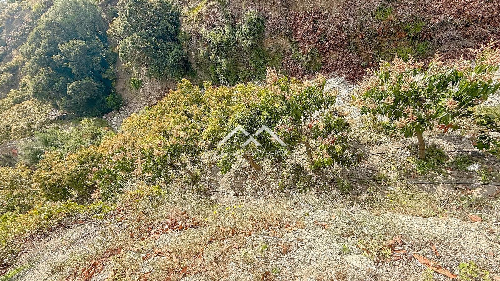 3 soveværelse Finca/Landehus til salg i Frigiliana med swimmingpool - € 379.000 (Ref: 8989849)