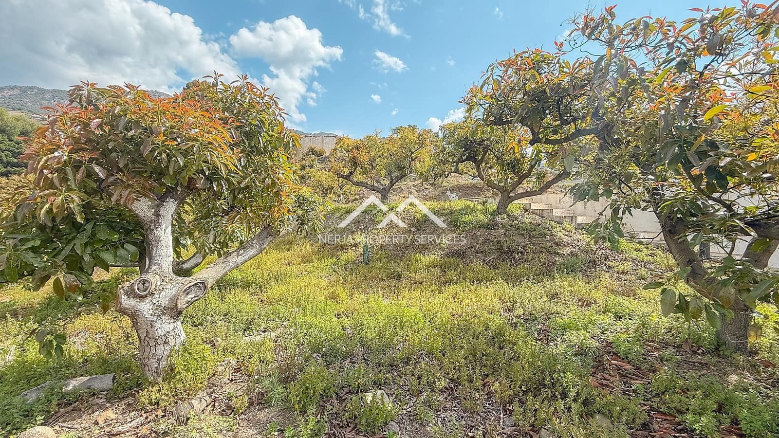 3 soveværelse Finca/Landehus til salg i Frigiliana med swimmingpool - € 379.000 (Ref: 8989849)