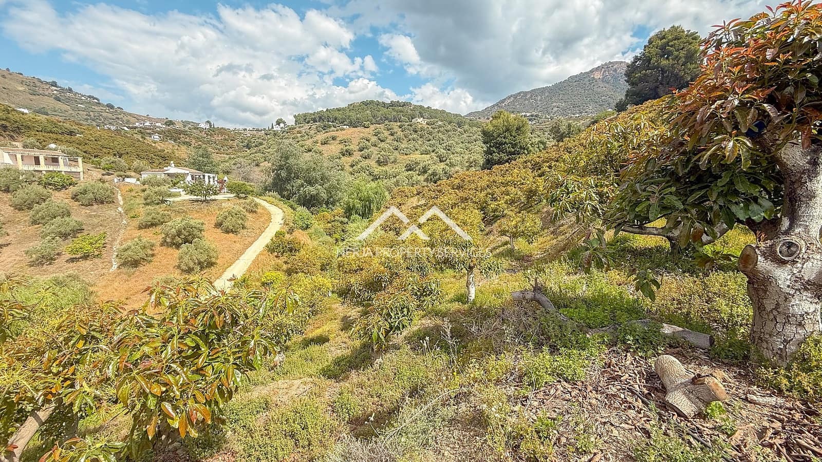 3 soveværelse Finca/Landehus til salg i Frigiliana med swimmingpool - € 379.000 (Ref: 8989849)