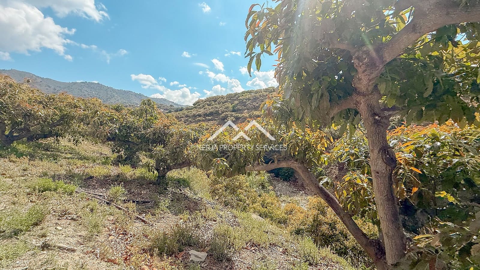 3 soveværelse Finca/Landehus til salg i Frigiliana med swimmingpool - € 379.000 (Ref: 8989849)