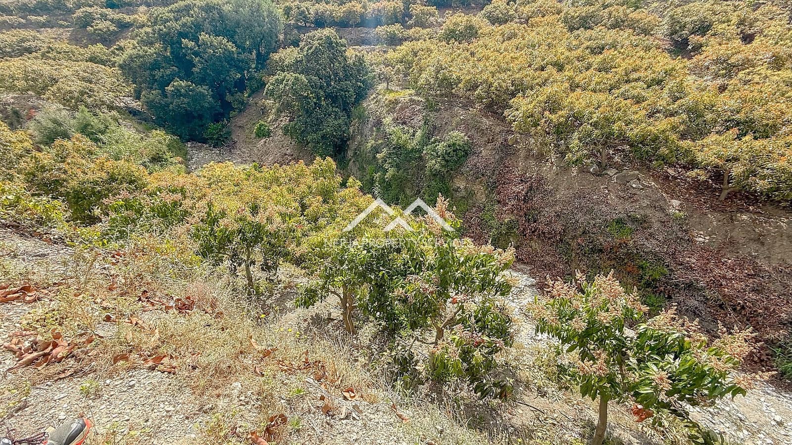 3 soveværelse Finca/Landehus til salg i Frigiliana med swimmingpool - € 379.000 (Ref: 8989849)