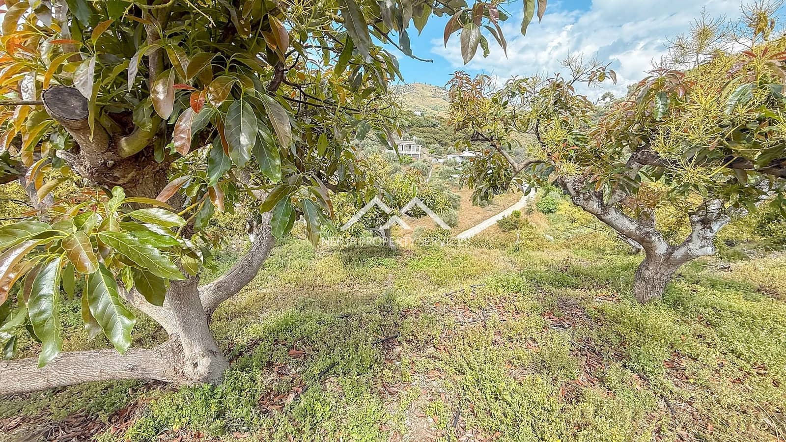 3 soverom Finca/Herregård til salgs i Frigiliana med svømmebasseng - € 349 000 (Ref: 8989850)