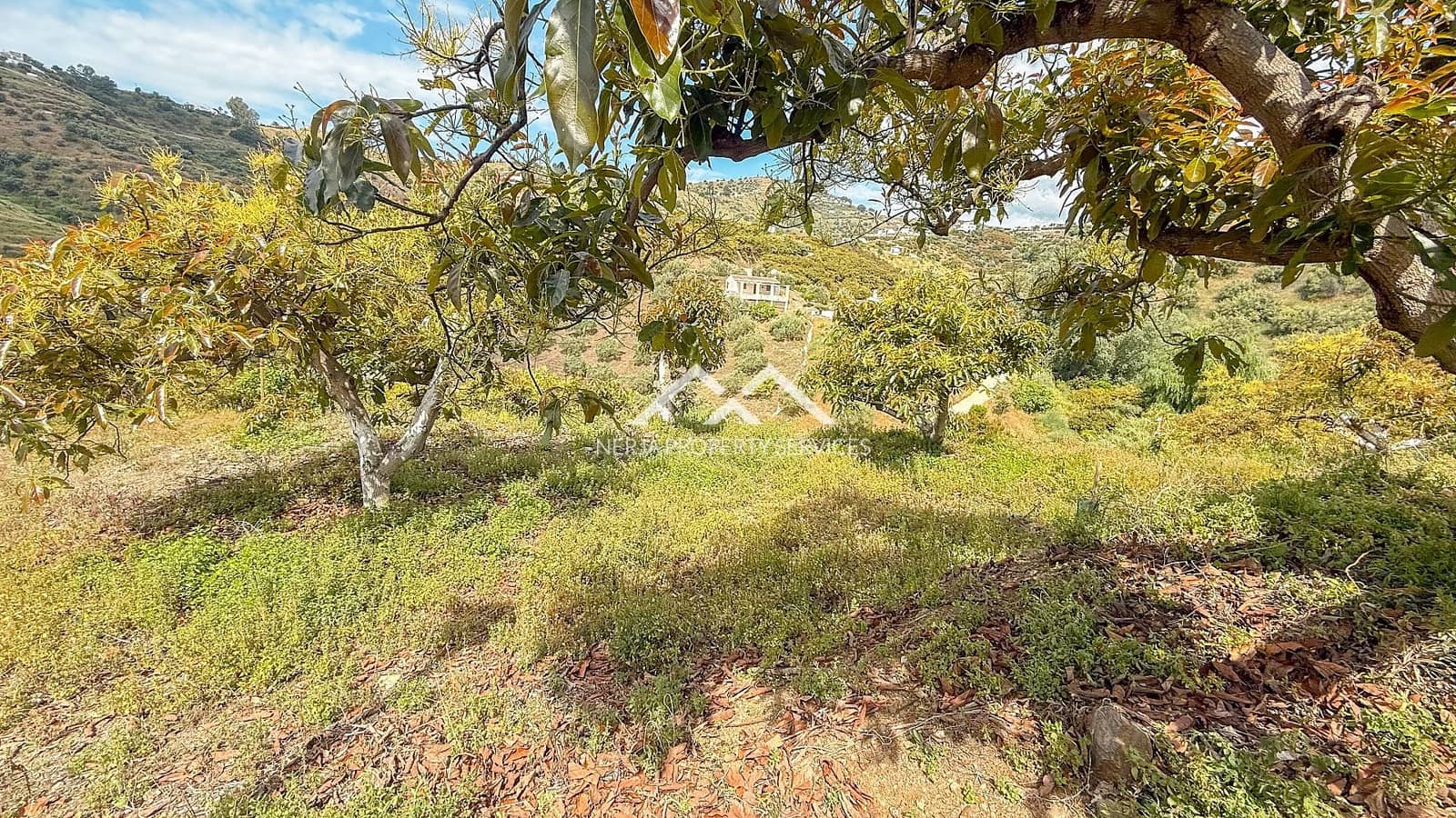 3 soverom Finca/Herregård til salgs i Frigiliana med svømmebasseng - € 349 000 (Ref: 8989850)