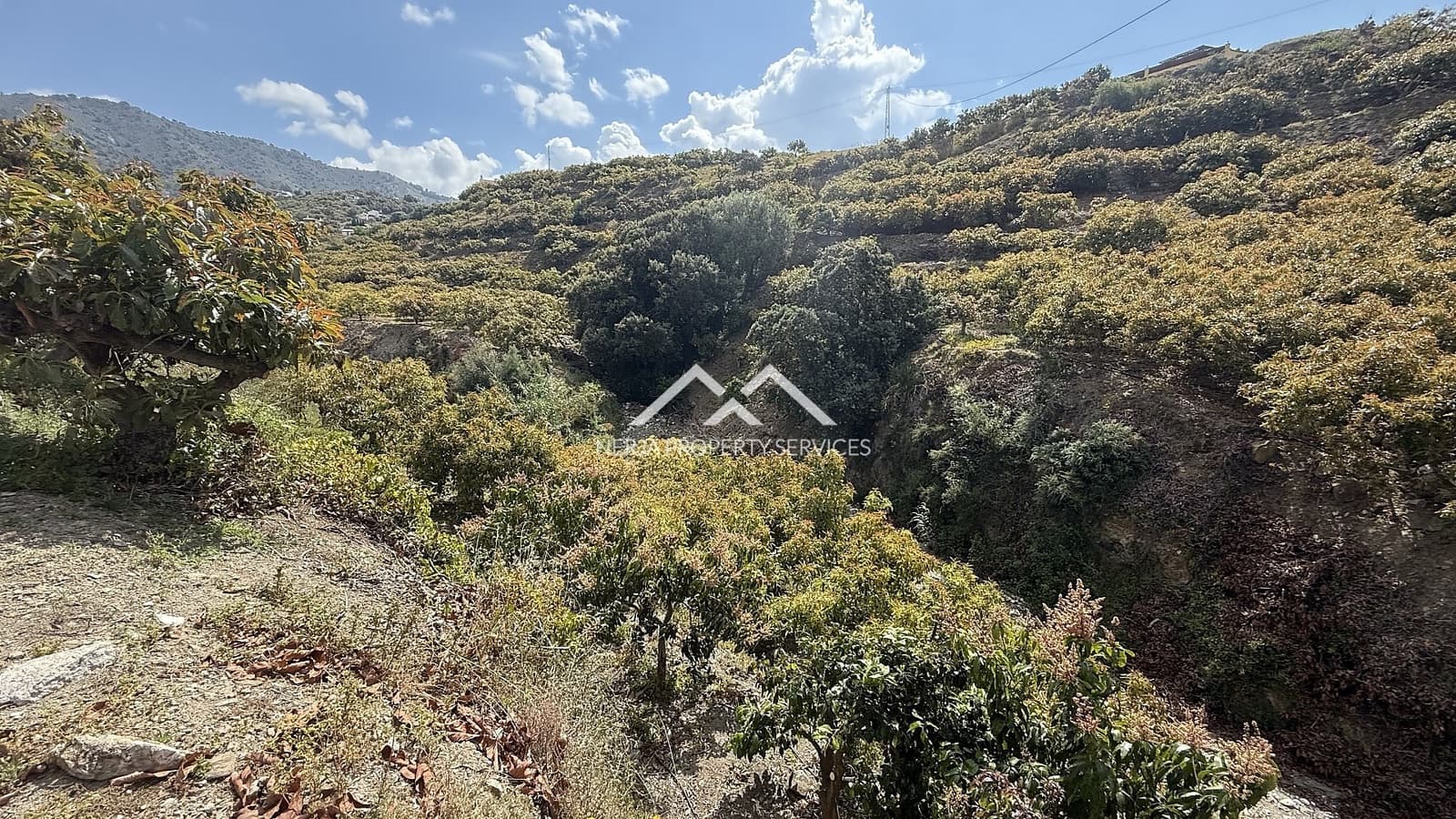 Grunde uden byggetilladelser til salg i Frigiliana - € 45.000 (Ref: 8989851)