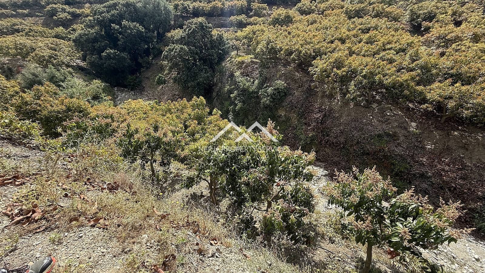 Grunde uden byggetilladelser til salg i Frigiliana - € 45.000 (Ref: 8989851)