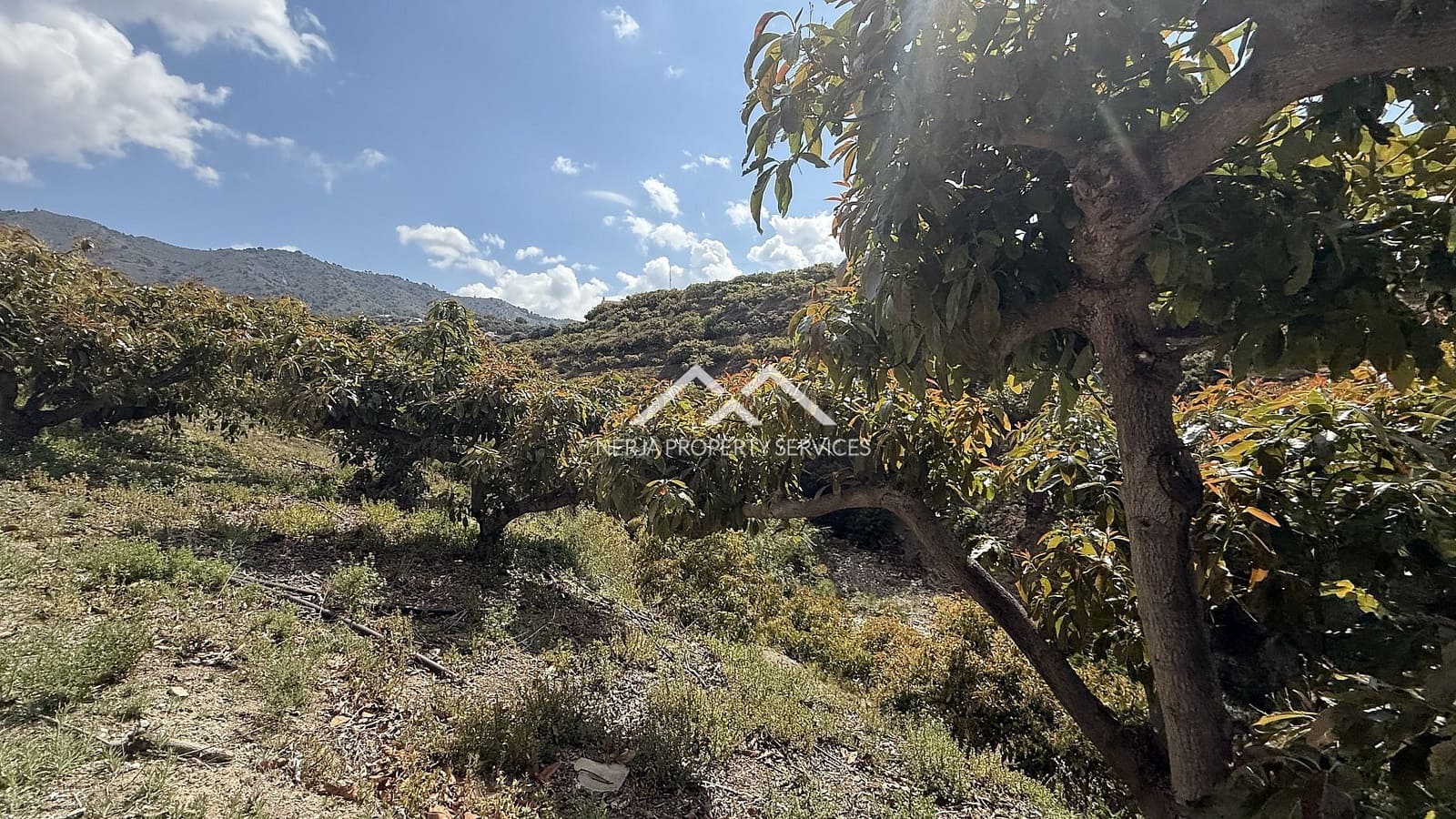 Grunde uden byggetilladelser til salg i Frigiliana - € 45.000 (Ref: 8989851)