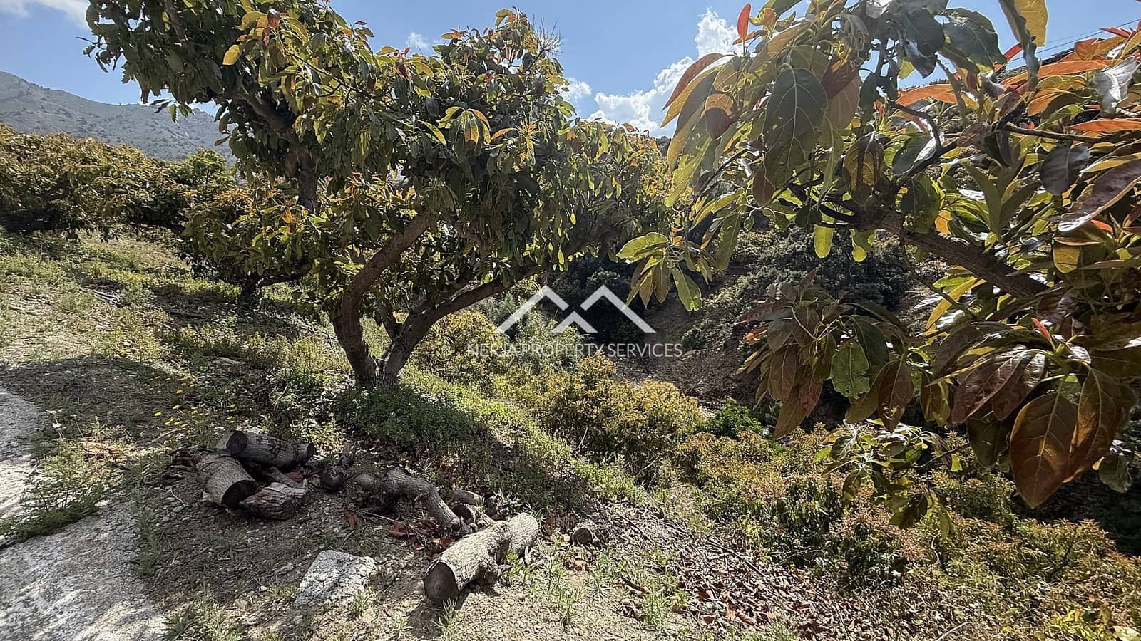 Grunde uden byggetilladelser til salg i Frigiliana - € 45.000 (Ref: 8989851)