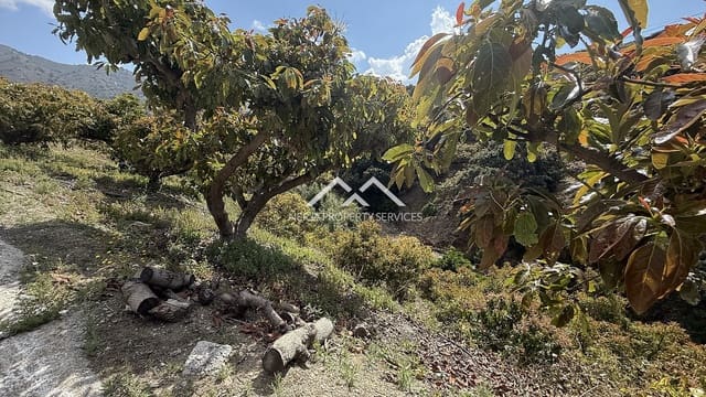 Rakentamaton maa myytävänä paikassa Frigiliana - 45 000 € (Ref: 8989851)