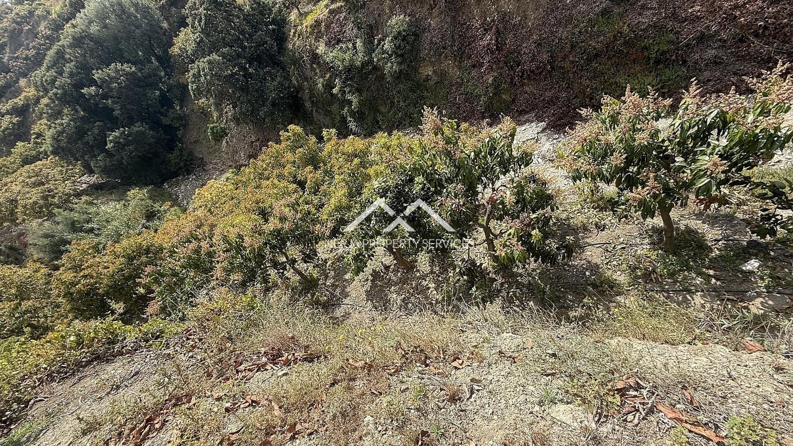 Grunde uden byggetilladelser til salg i Frigiliana - € 45.000 (Ref: 8989851)