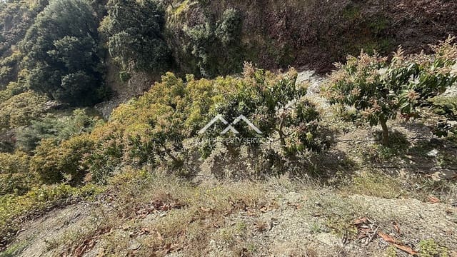 Rakentamaton maa myytävänä paikassa Frigiliana - 45 000 € (Ref: 8989851)