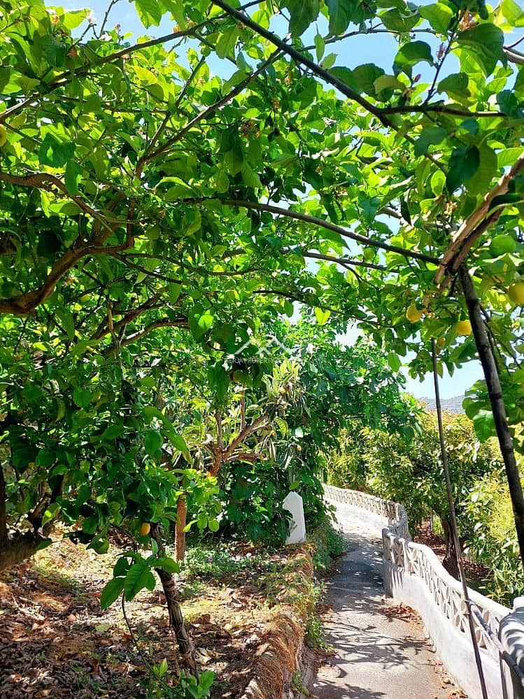 2 chambre Maison de Ville à vendre à Frigiliana - 270 000 € (Ref: 9082669)