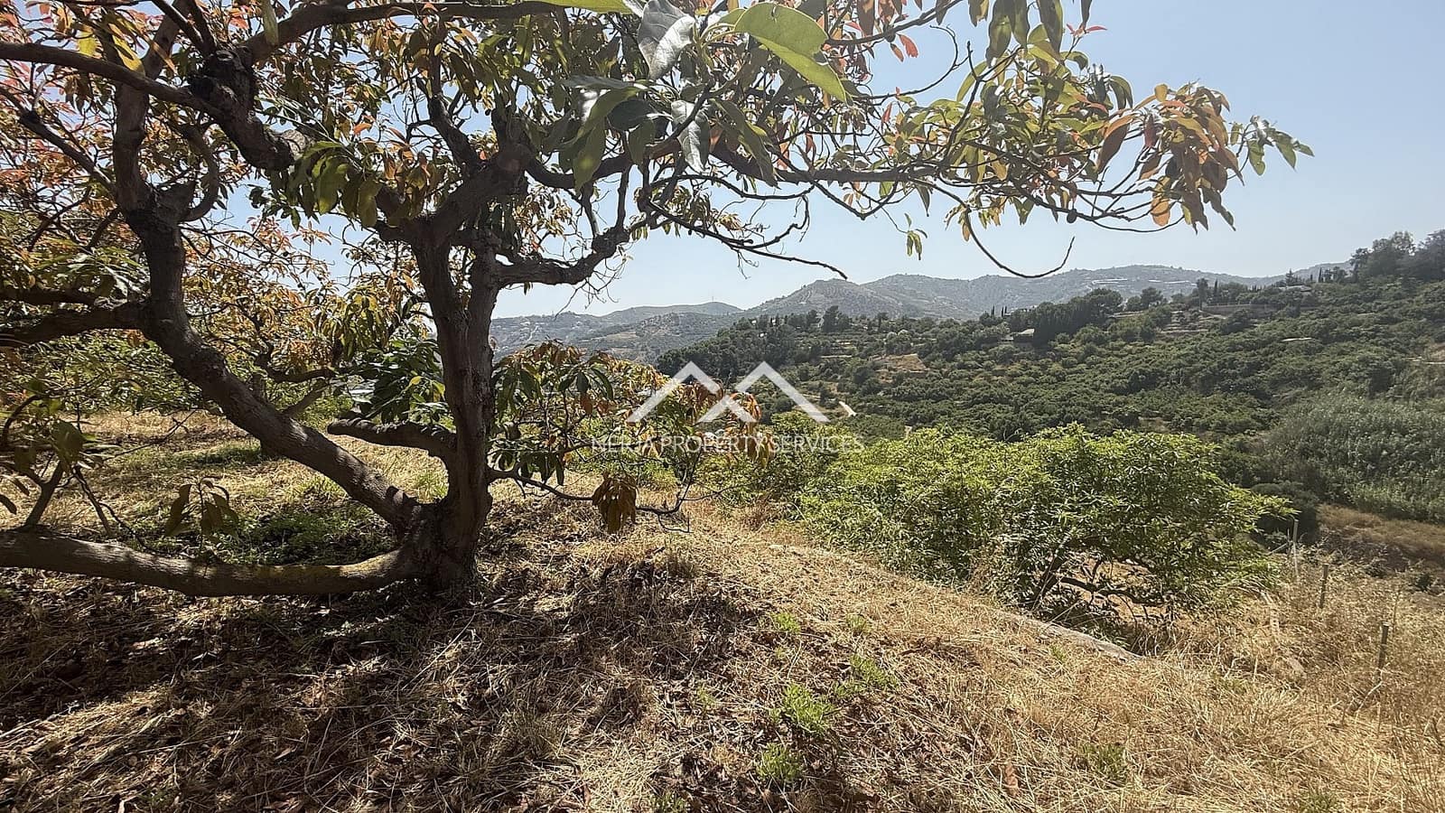 Grunde uden byggetilladelser til salg i Frigiliana - € 82.000 (Ref: 9097375)