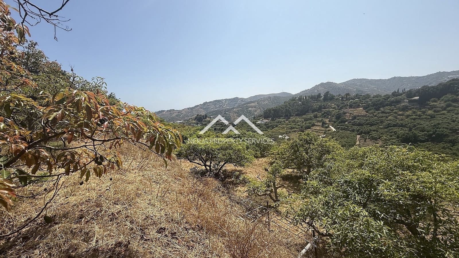 Grunde uden byggetilladelser til salg i Frigiliana - € 82.000 (Ref: 9097375)