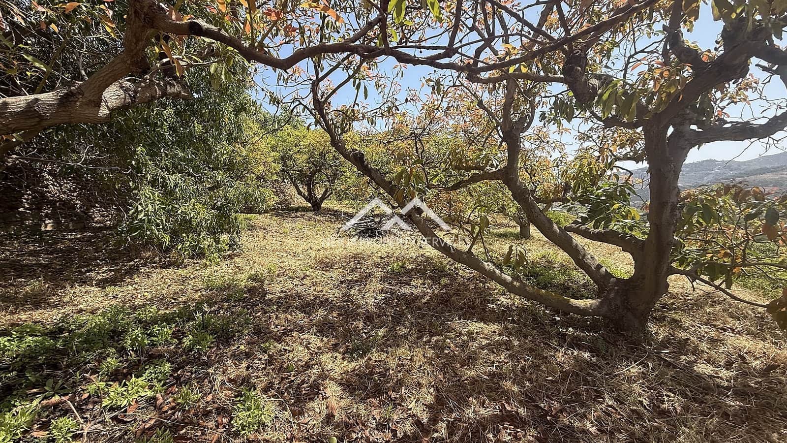 Grunde uden byggetilladelser til salg i Frigiliana - € 82.000 (Ref: 9097375)