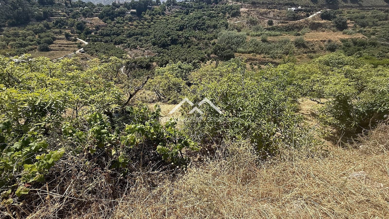 Grunde uden byggetilladelser til salg i Frigiliana - € 82.000 (Ref: 9097375)