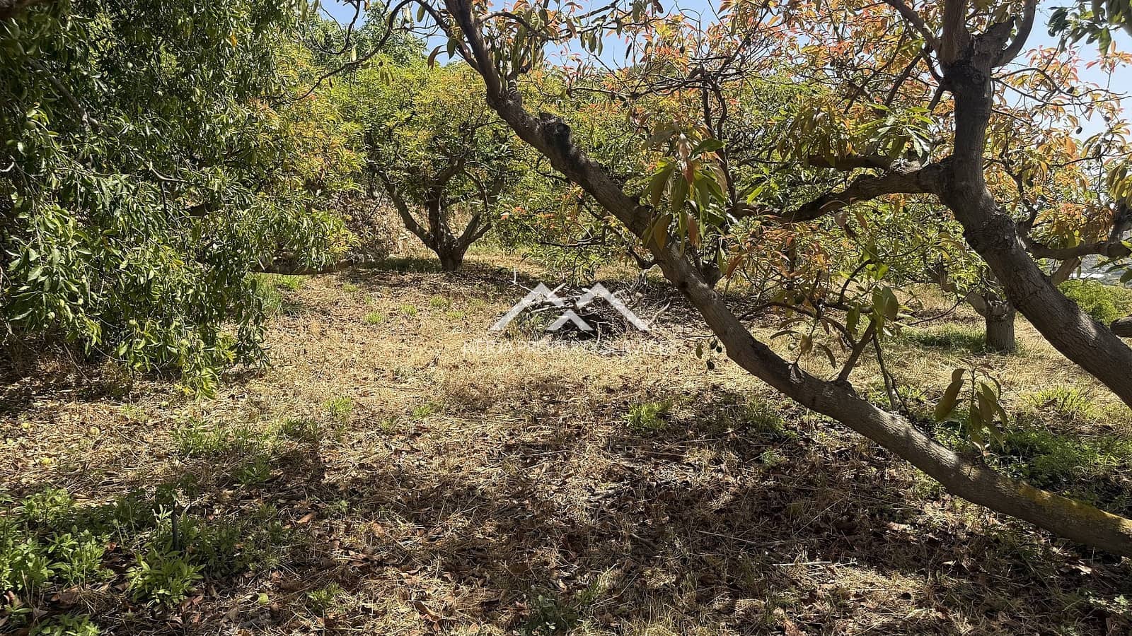 Grunde uden byggetilladelser til salg i Frigiliana - € 82.000 (Ref: 9097375)