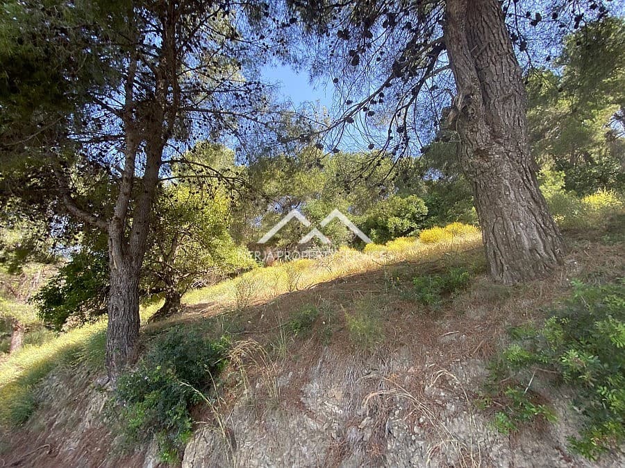 Ubebygd land til salgs i Frigiliana - € 149 000 (Ref: 9152692)