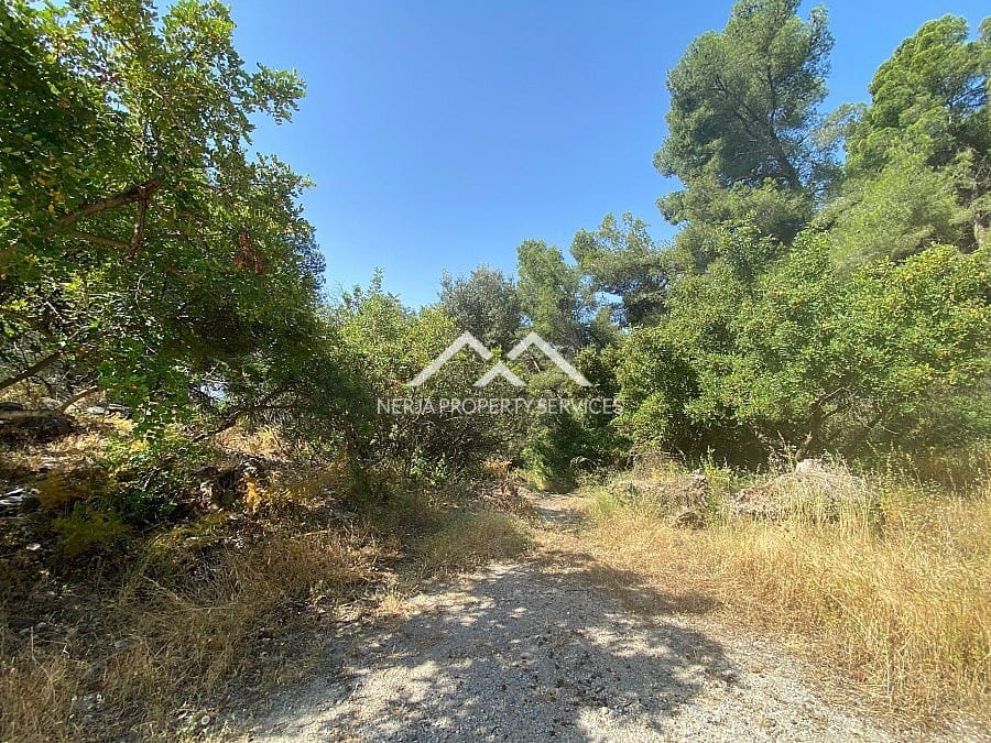 Ubebygd land til salgs i Frigiliana - € 149 000 (Ref: 9152692)