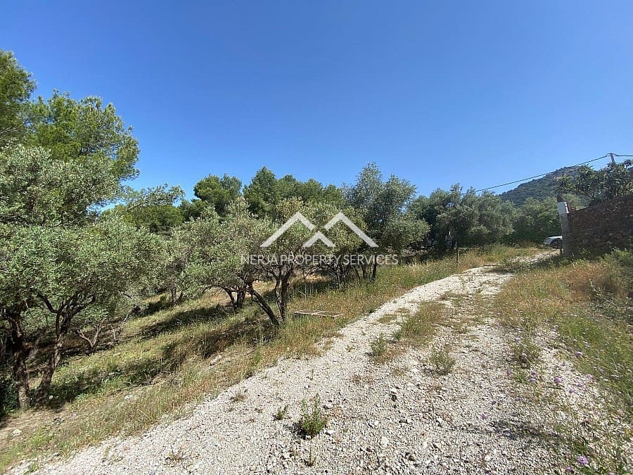 Ubebygd land til salgs i Frigiliana - € 149 000 (Ref: 9152692)