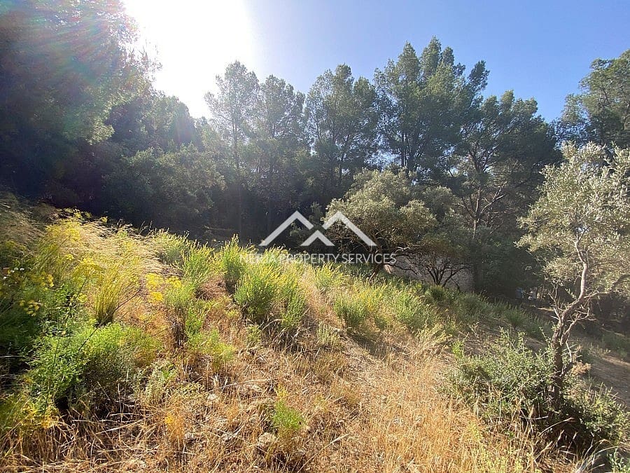 Ubebygd land til salgs i Frigiliana - € 149 000 (Ref: 9152692)