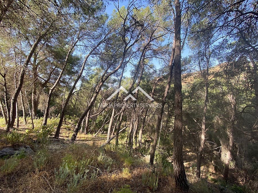 Ubebygd land til salgs i Frigiliana - € 149 000 (Ref: 9152692)