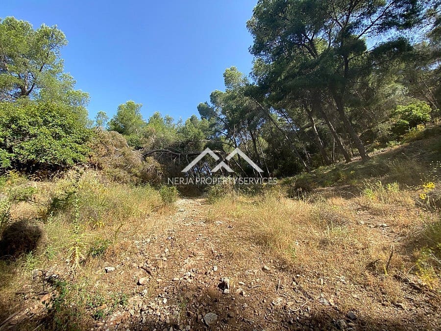 Ubebygd land til salgs i Frigiliana - € 149 000 (Ref: 9152692)