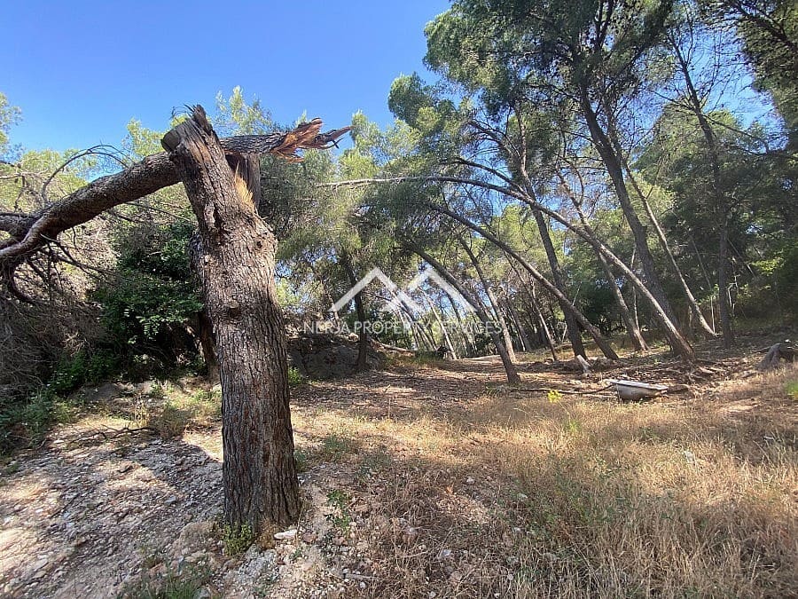 Ubebygd land til salgs i Frigiliana - € 149 000 (Ref: 9152692)