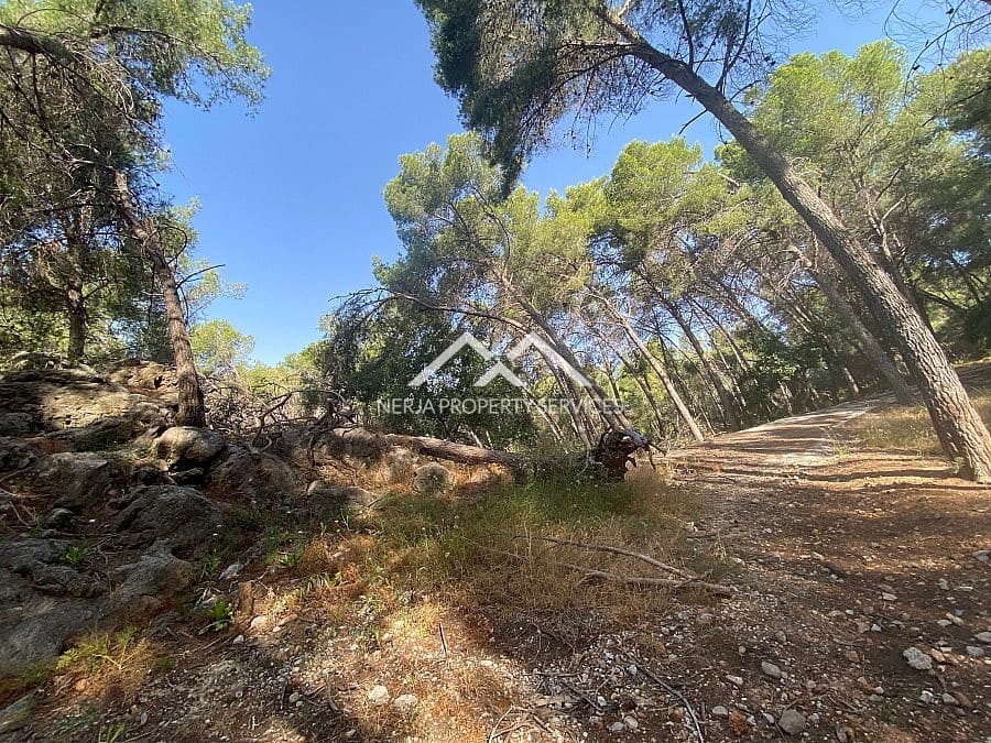 Ubebygd land til salgs i Frigiliana - € 149 000 (Ref: 9152692)