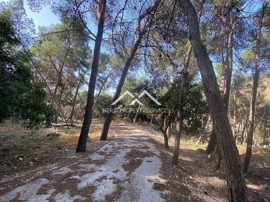 Ubebygd land til salgs i Frigiliana - € 149 000 (Ref: 9152692)
