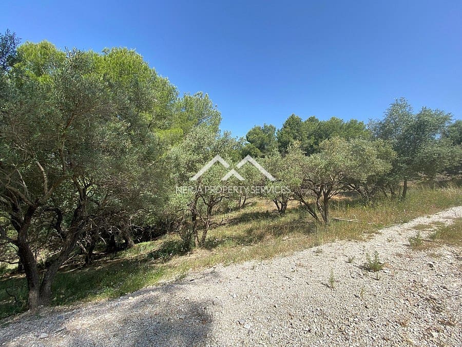 Ubebygd land til salgs i Frigiliana - € 149 000 (Ref: 9152692)