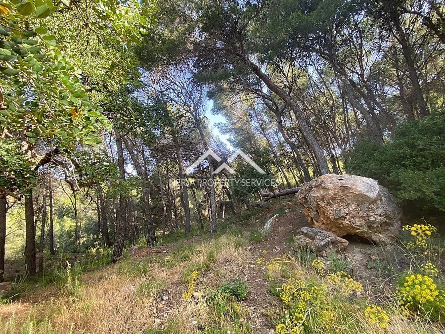 Ubebygd land til salgs i Frigiliana - € 149 000 (Ref: 9152692)