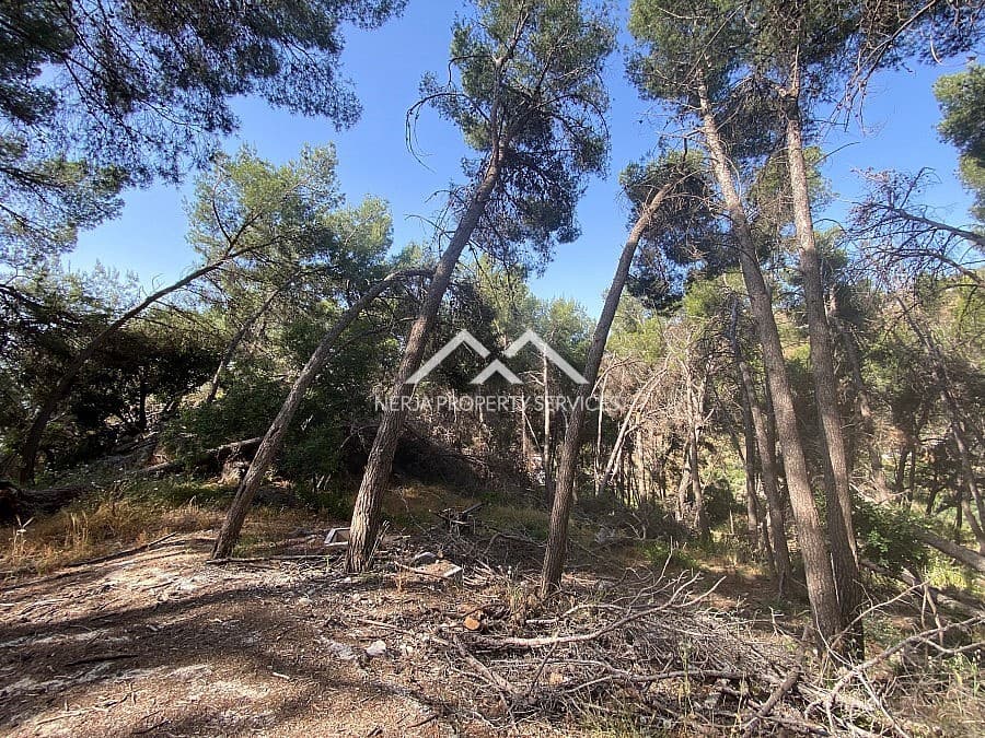 Ubebygd land til salgs i Frigiliana - € 149 000 (Ref: 9152692)