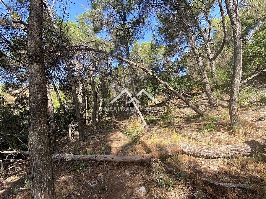 Ubebygd land til salgs i Frigiliana - € 149 000 (Ref: 9152692)