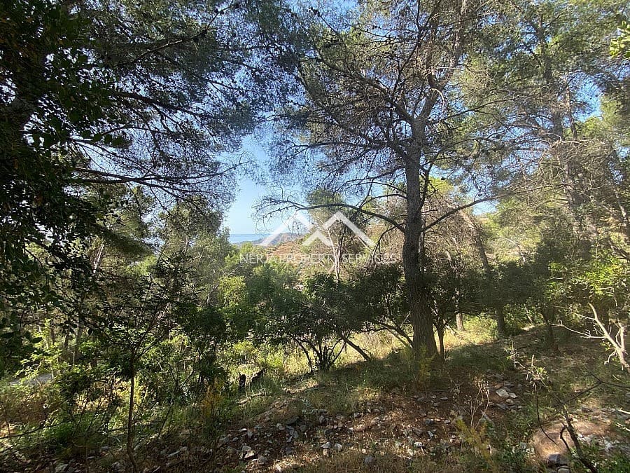 Ubebygd land til salgs i Frigiliana - € 149 000 (Ref: 9152692)