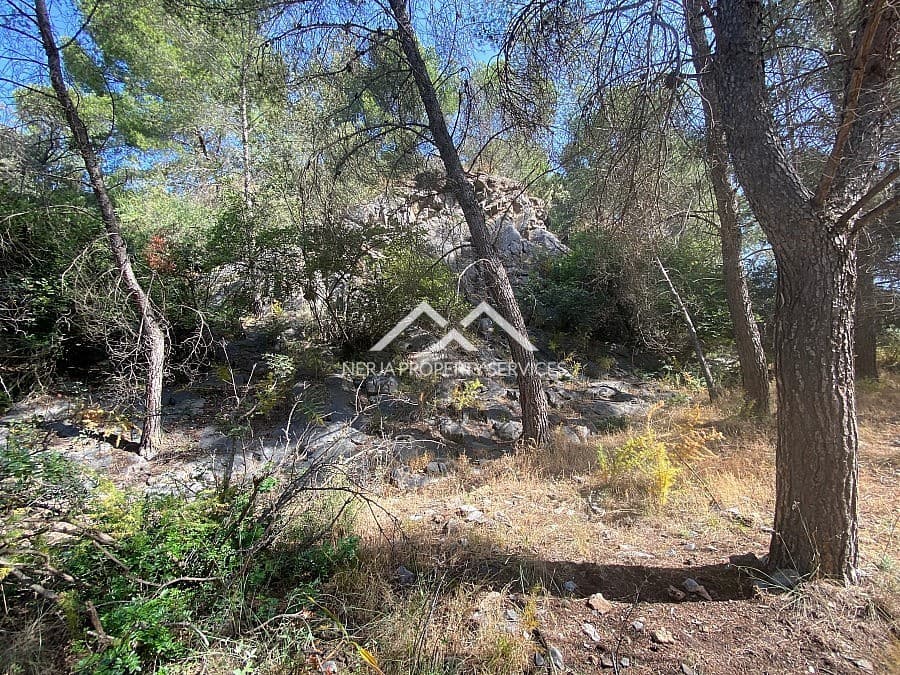 Ubebygd land til salgs i Frigiliana - € 149 000 (Ref: 9152692)