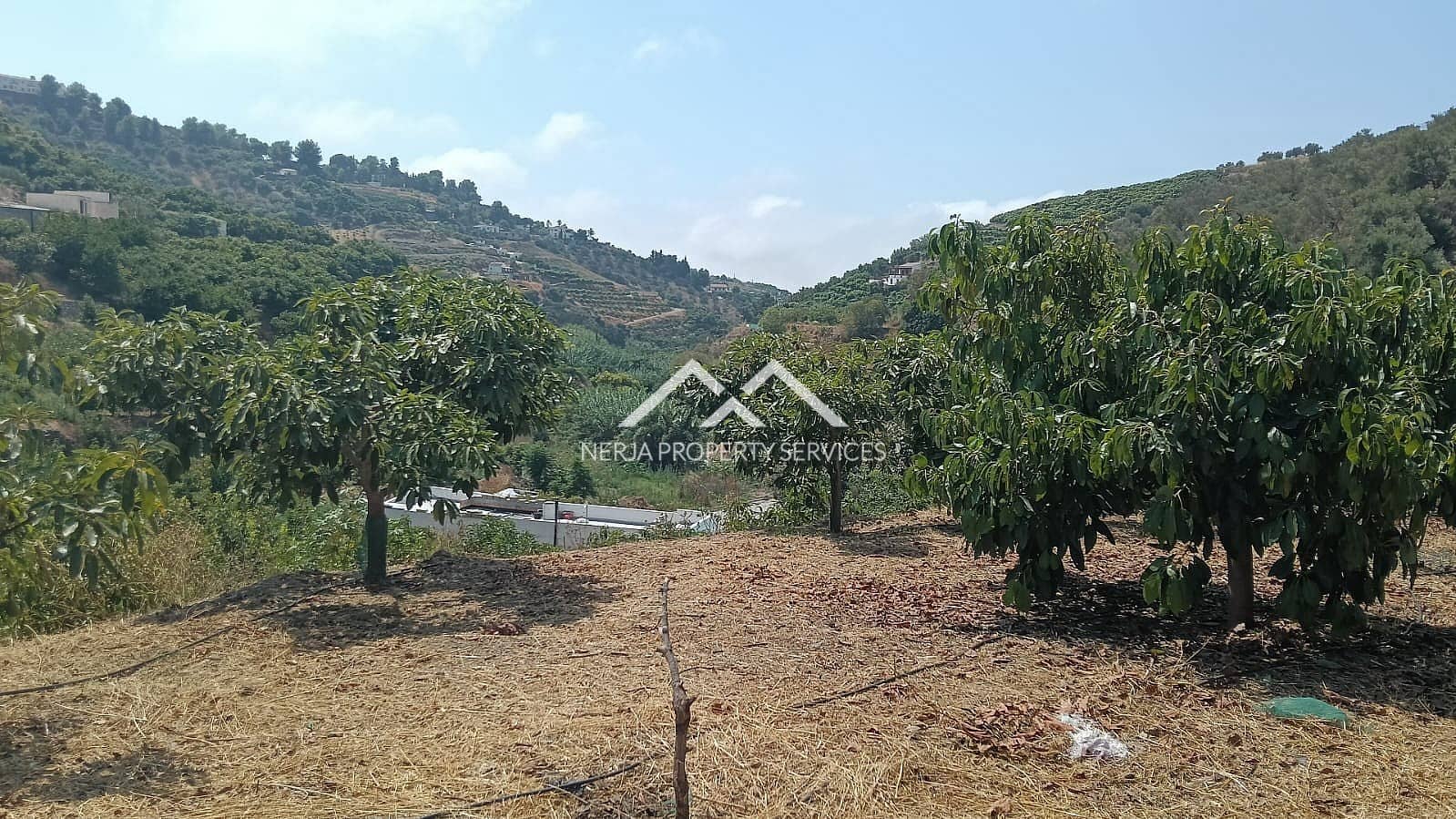 Rakentamaton maa myytävänä paikassa Frigiliana - 55 000 € (Ref: 9193003)