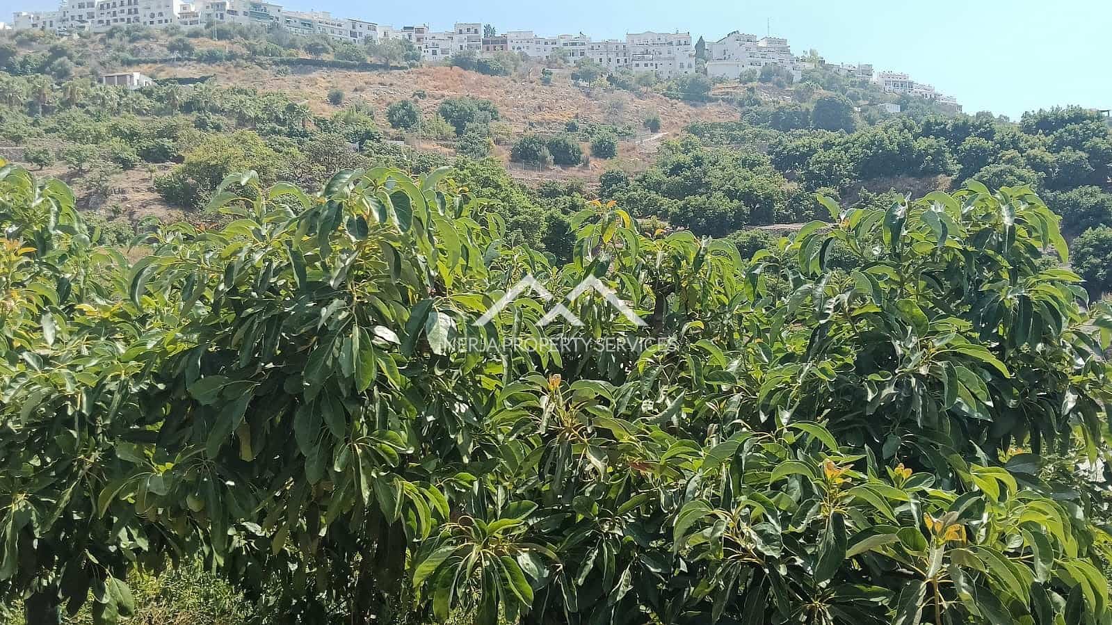 Rakentamaton maa myytävänä paikassa Frigiliana - 55 000 € (Ref: 9193003)