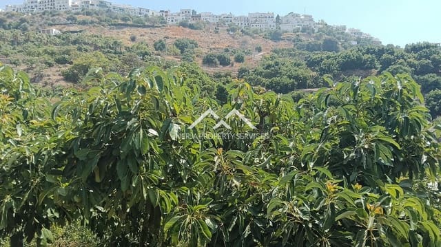 Rakentamaton maa myytävänä paikassa Frigiliana - 55 000 € (Ref: 9193003)