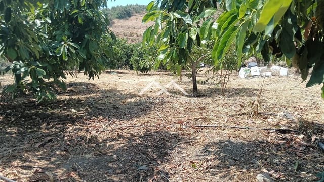 Rakentamaton maa myytävänä paikassa Frigiliana - 55 000 € (Ref: 9193003)