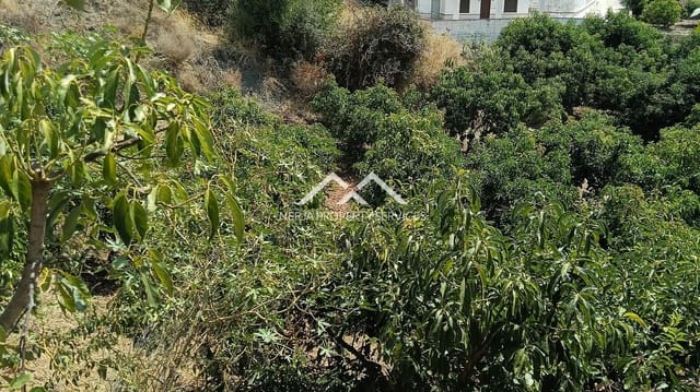 Rakentamaton maa myytävänä paikassa Frigiliana - 55 000 € (Ref: 9193003)