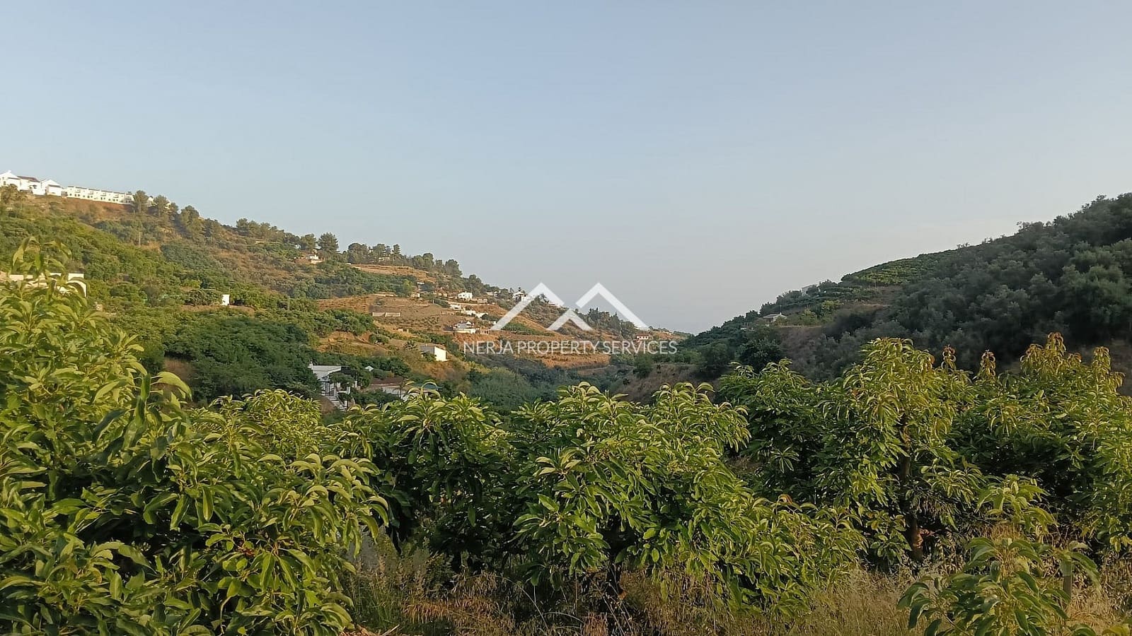 Rakentamaton maa myytävänä paikassa Frigiliana - 55 000 € (Ref: 9193003)