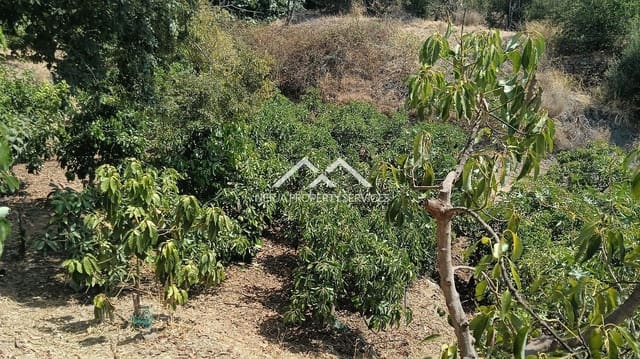 Rakentamaton maa myytävänä paikassa Frigiliana - 55 000 € (Ref: 9193003)