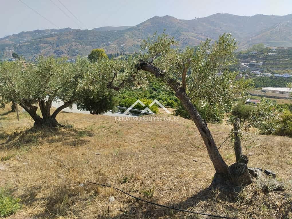 Ubebygd land til salgs i Frigiliana - € 39 000 (Ref: 9331736)