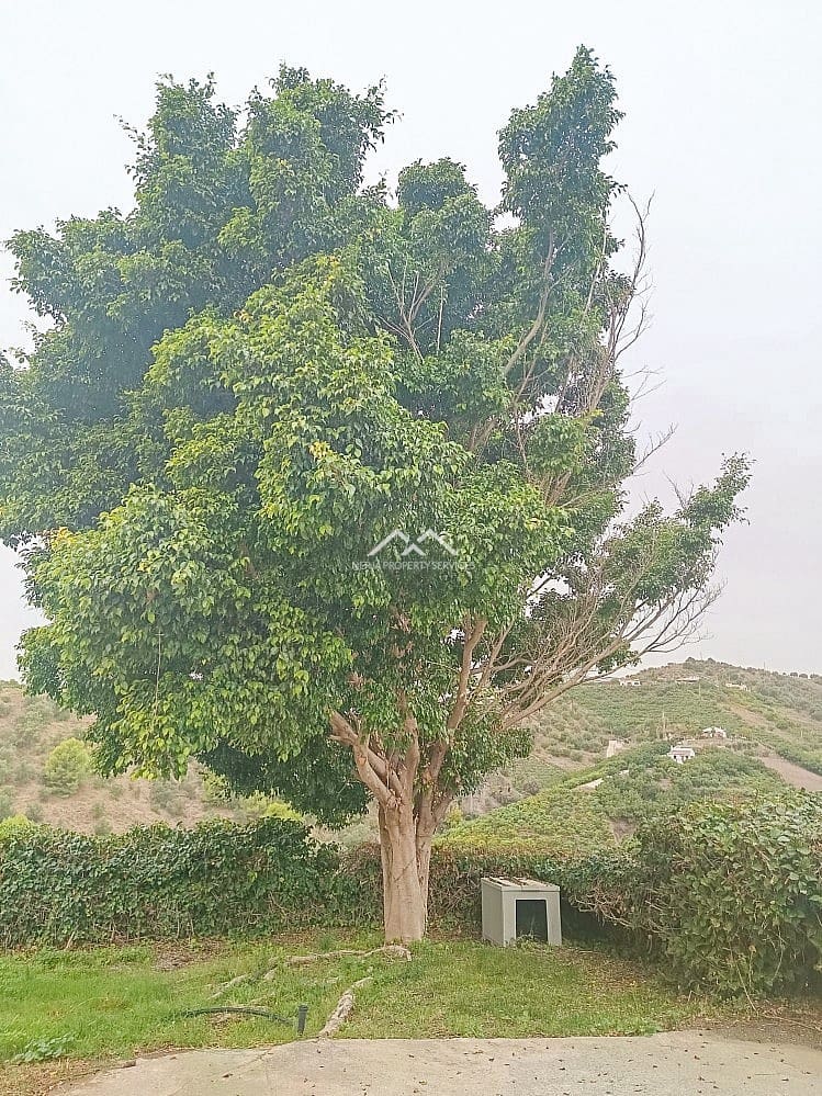 2 soveværelse Finca/Landehus til leje i Frigiliana - € 1.300 (Ref: 9394251)