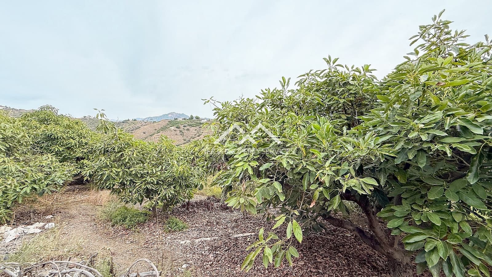 2 soverom Villa til salgs i Torrox med svømmebasseng - € 315 000 (Ref: 9396696)