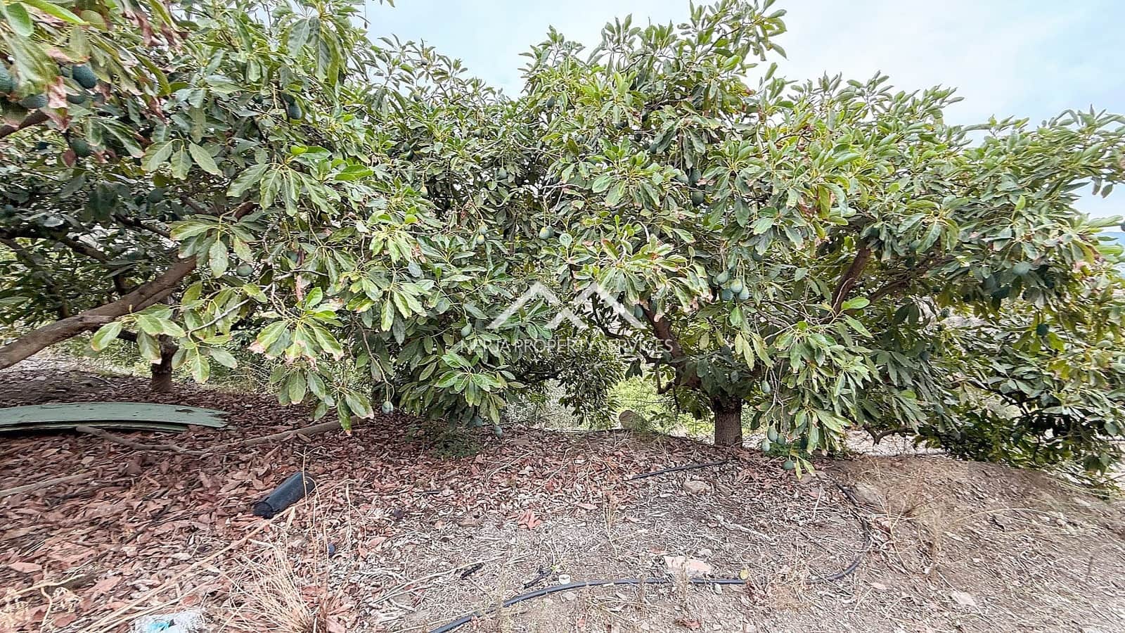 2 soverom Villa til salgs i Torrox med svømmebasseng - € 315 000 (Ref: 9396696)